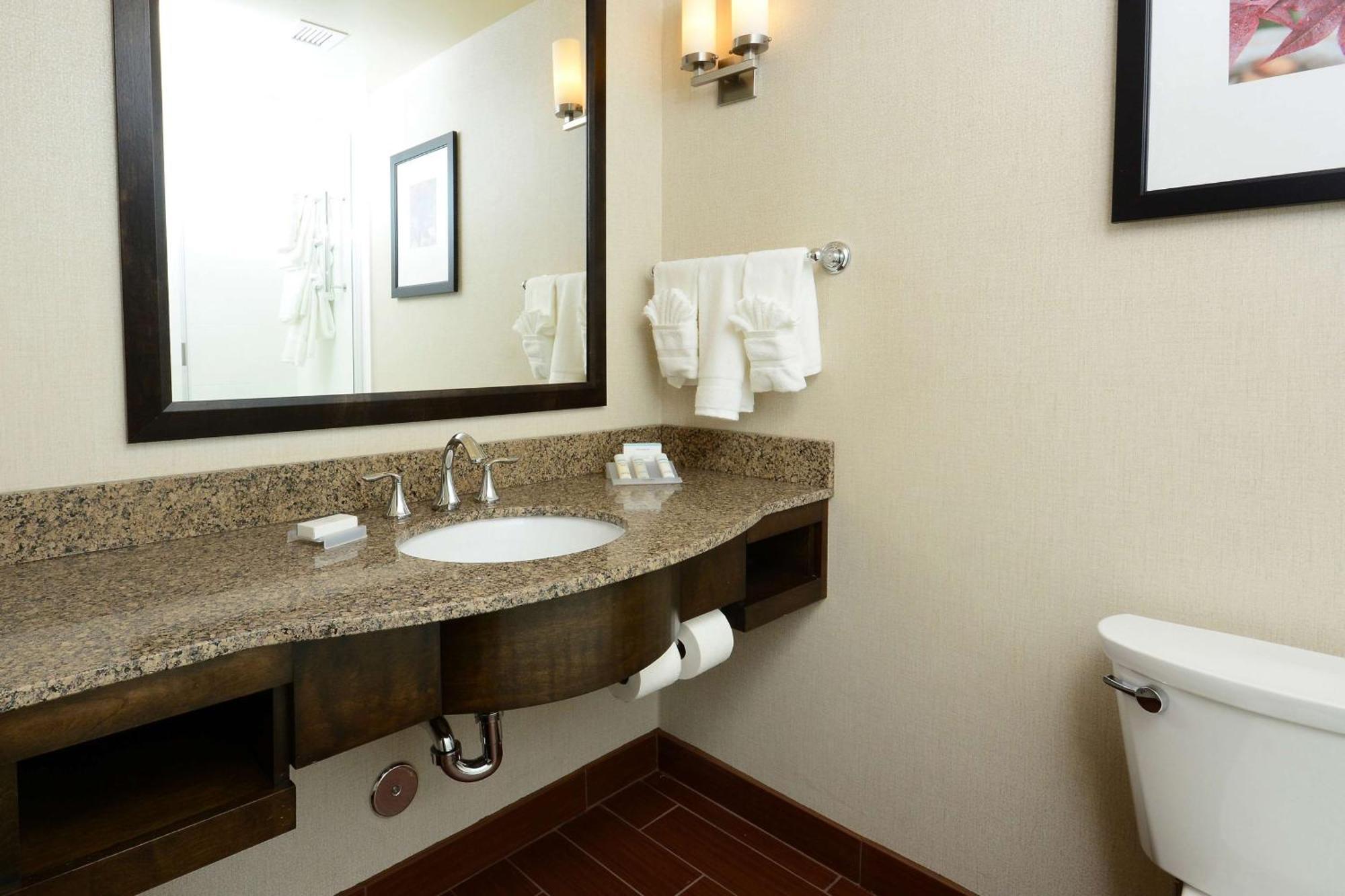 Hilton Garden Airport 3* Greensboro